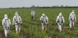 EU Nations progress in banning of Glyspophate roundup