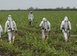 EU Nations progress in banning of Glyspophate roundup