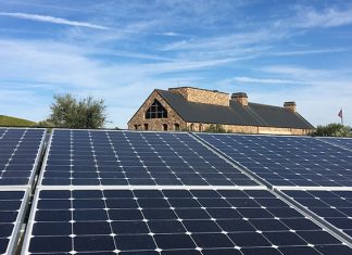 Why Pigeon Proofing Solar Panels is a Wise Move