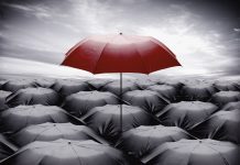 Why Private Capital’s Insurance Addiction Is Starting to Crack insurance