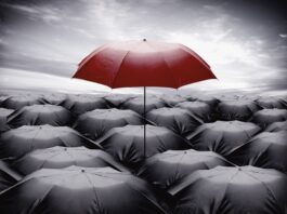 WEEKEND READ: How a Six-Year-Old European Insurance Company Became A 2$Billion Dollar Deal insurance
