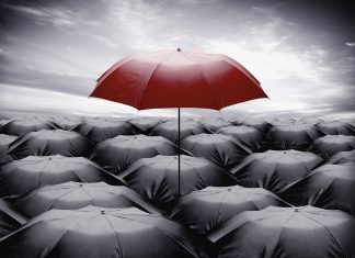 Weathering the Storm Within The Insurance Industry insurance