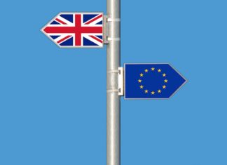 How The UK Needs To Adopt To Environmental Issues After Brexit brexit-pixabay