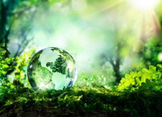 How You Can Encourage Your Employees To Go Greener