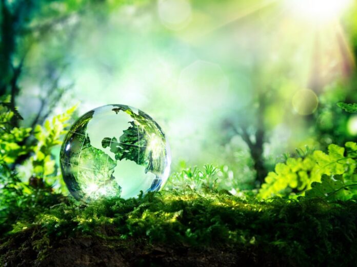 green 2