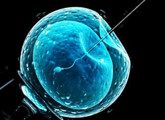 Why the Science of Human Fertilisation Is Tangled Between Ethics and Laws