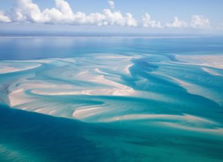 The Natural Beauty of Mozambique