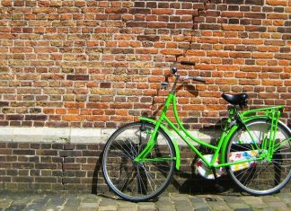 The Benefits of The EU Planned Green Recovery