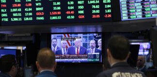 The Future of the Stock Market Amid Growing Hopes for Interest Rate Reduction