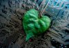 Beyond the Checkbox: Why ‘Ethical AI’ Fails Without Honest Conversations About Human Trade-Offs