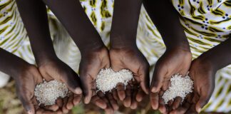 How Trump’s Tariffs Could Harm Developing Economies — Even Those Not Directly Involved in the Trade War”