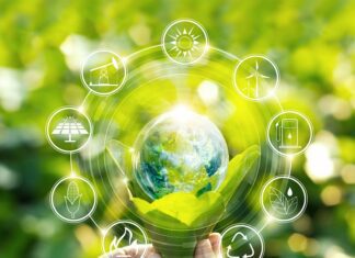 Increasing your use of renewable energy: A guide