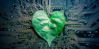 Business must be the driver of sustainable change