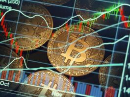 Bitcoin’s Brutal Slide: 20-Month Low as AI Steals the Spotlight