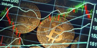 Bitcoin’s Brutal Slide: 20-Month Low as AI Steals the Spotlight