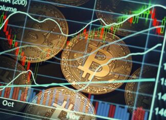 Bitcoin’s Brutal Slide: 20-Month Low as AI Steals the Spotlight