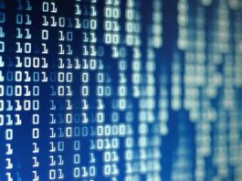 Data-driven culture: redefining success in modern investment strategy