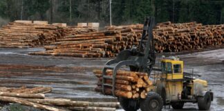 The EUDR Delay: A setback or a strategic opportunity for global supply chains?