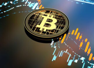 Vinter, Europe’s fastest-growing index provider for crypto assets, raises $3.4m in Seed round