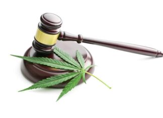 What are the cannabis and CBD laws in Europe?