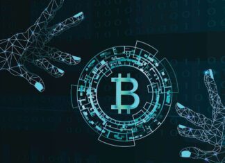 Why Crypto Is More Than Just An Investment