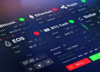 Why the Crypto market crashed and what it could mean for their future
