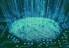 The Future of Personal Identity: How Digital Credentials, Biometrics and Decentralised Systems Are Rewriting Who You Are