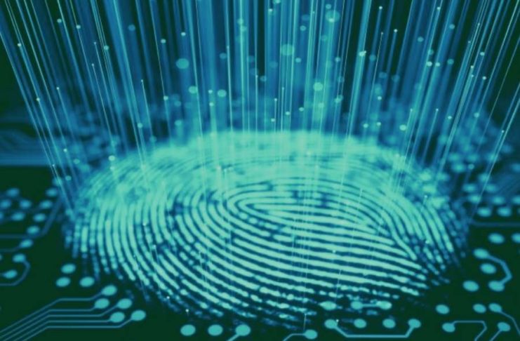 The Future of Personal Identity: How Digital Credentials, Biometrics and Decentralised Systems Are Rewriting Who You Are
