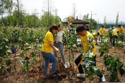 405660-DHL-volunteering-GVD-jpeg-1
