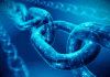 The Ultimate Guide to Blockchain Explorers: Unlocking On-Chain Transparency