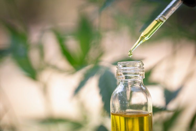 How CBD Supports Dogs with Anxiety During Travel and Vet Visits