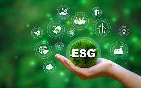 Crafting Sustainable Business: Steps To Create An ESG Strategy ...