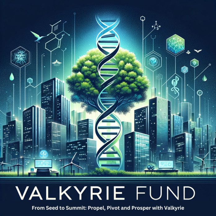 Valkyrie Fund