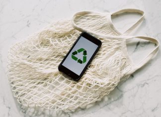 Living Green: Incorporating Sustainability Into Daily Life