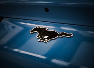 Startups Revolutionizing the Industry of Horse Racing