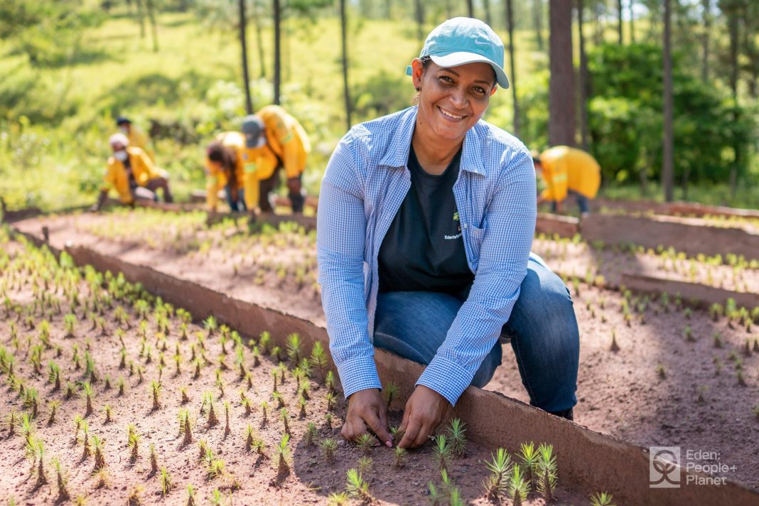 ddb32c6a3afd618b028058e76c0d