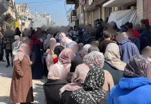 World Breastfeeding Week | Gaza: Over 40% of Pregnant and Breastfeeding Women in Save The Children Clinics Malnourished