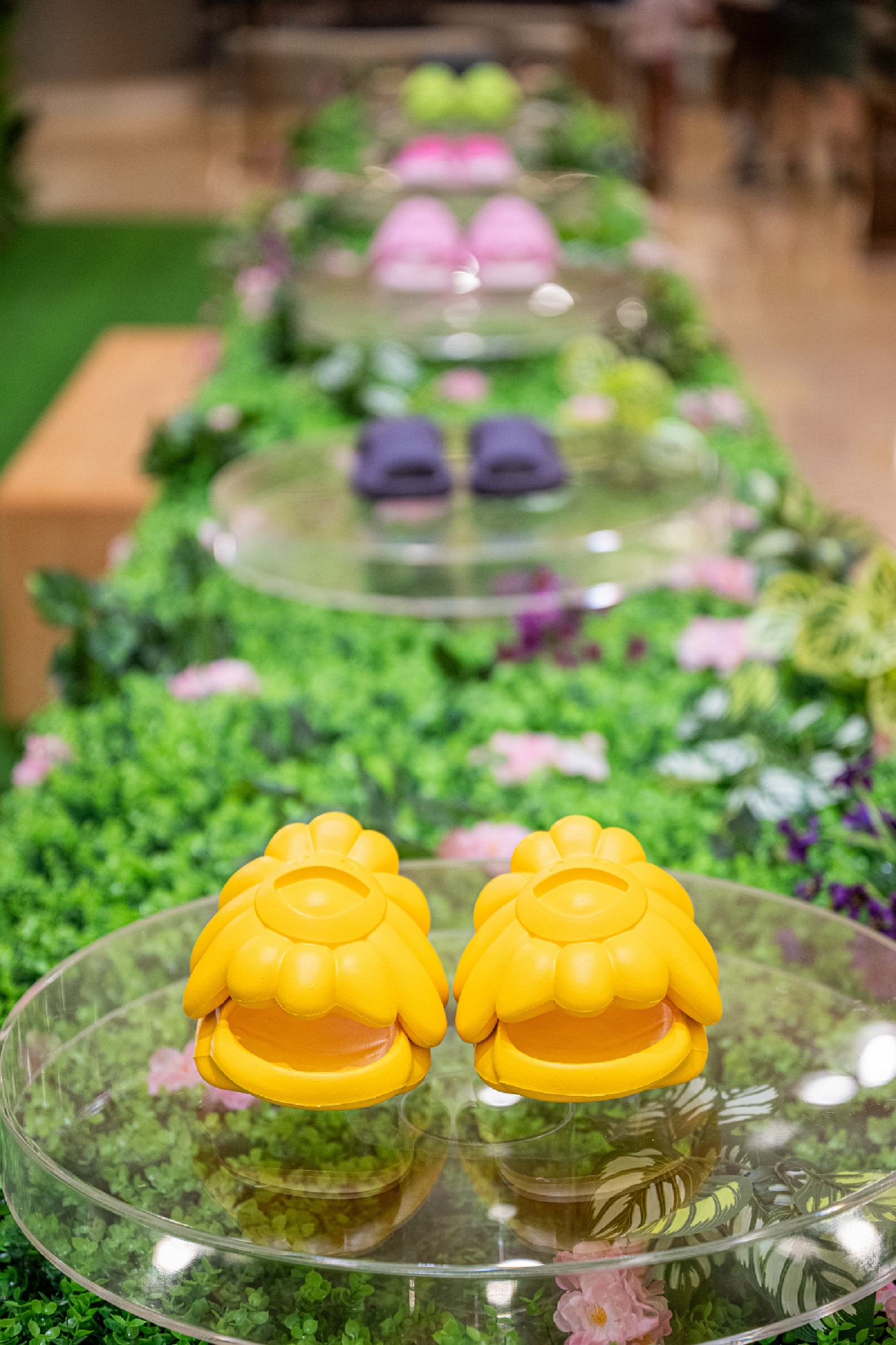 Global Debut of Four Vibrant New Colourways of Ohana Full-Bloom and Surippa Ohana