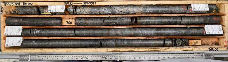 TDG Intersects High-Grade Copper-Gold Mineralization at AuWEST, Toodoggone