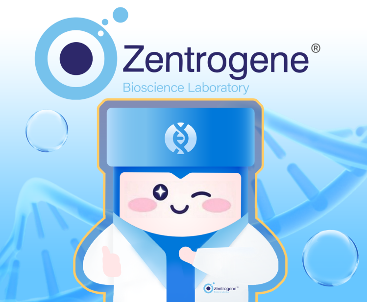 Illustration: IP Image Ambassador Dr.z