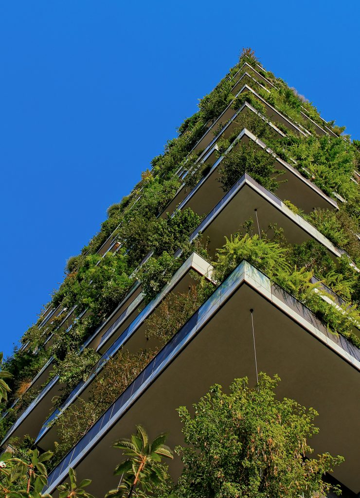 Sustainable Development Impact Meetings 2025 – Fostering Collaboration
