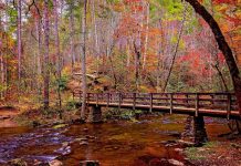 Why the Smoky Mountains Are the Perfect Year-Round Destination