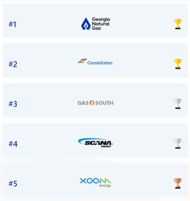 2025 Best Natural Gas Providers in Georgia
