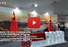 China highlights green achievements at COP30 side session