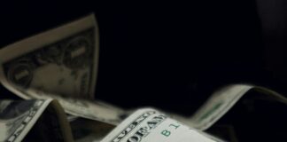 The Dollar Is the Cleanest Shirt in the Laundry. Europe Is Paying for It