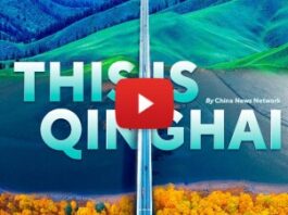 Qinghai Balances Ecological Restoration with Clean Energy Ambitions