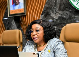 Swedish Startup MuchSkills Powers Phillips Consulting-Led Workforce Skills Assessment in Nigeria’s Federal Civil Service