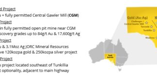 Tolmer Diamond Assays Enhance Local Structural Model