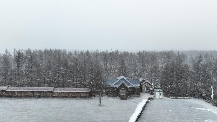 The scenery in Arxan of Hinggan League, north China's Inner Mongolia Autonomous Region.