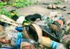 Europe risks losing its competitiveness if it doesn’t unlock the value of waste